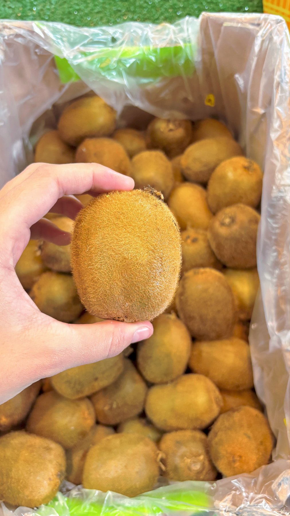 Kiwi