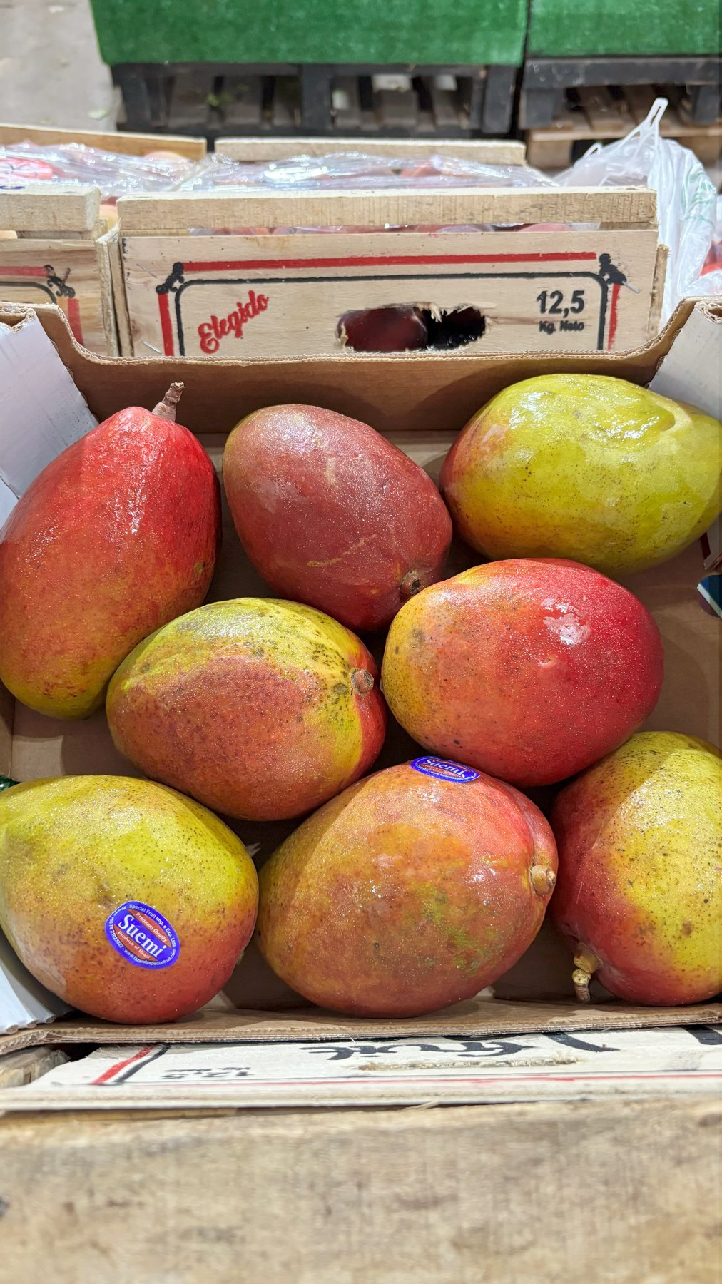 Mango