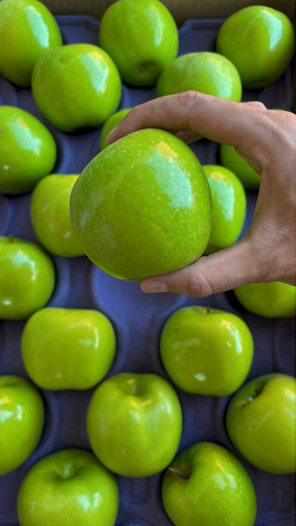 Manzana verde